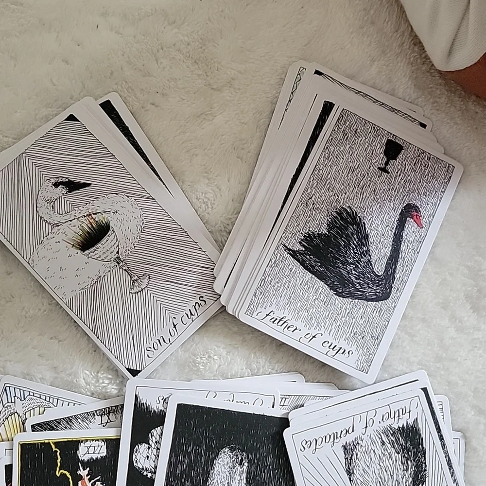 The Wild Unknown Tarot Deck - Picture 8 of 8